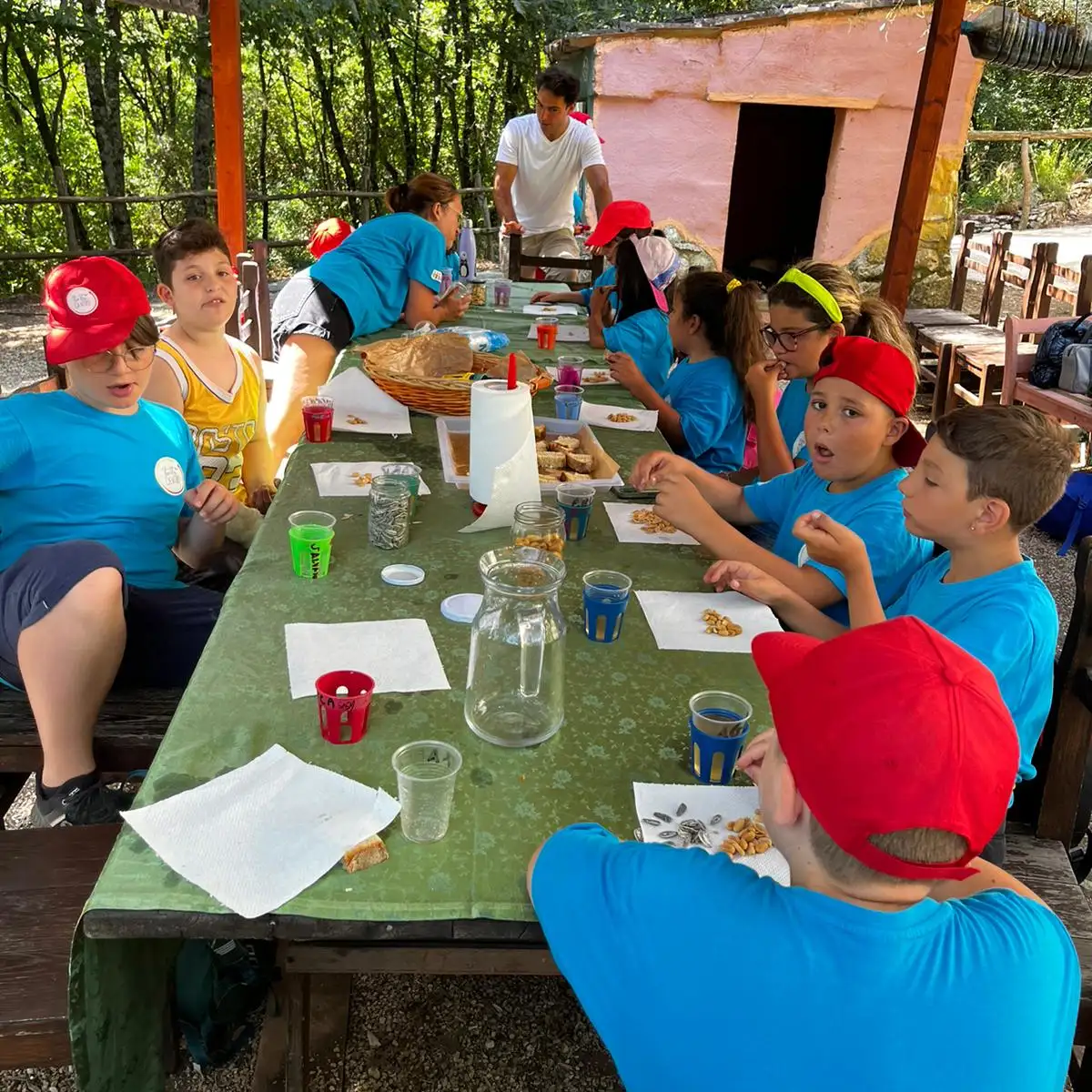 educativa image 1